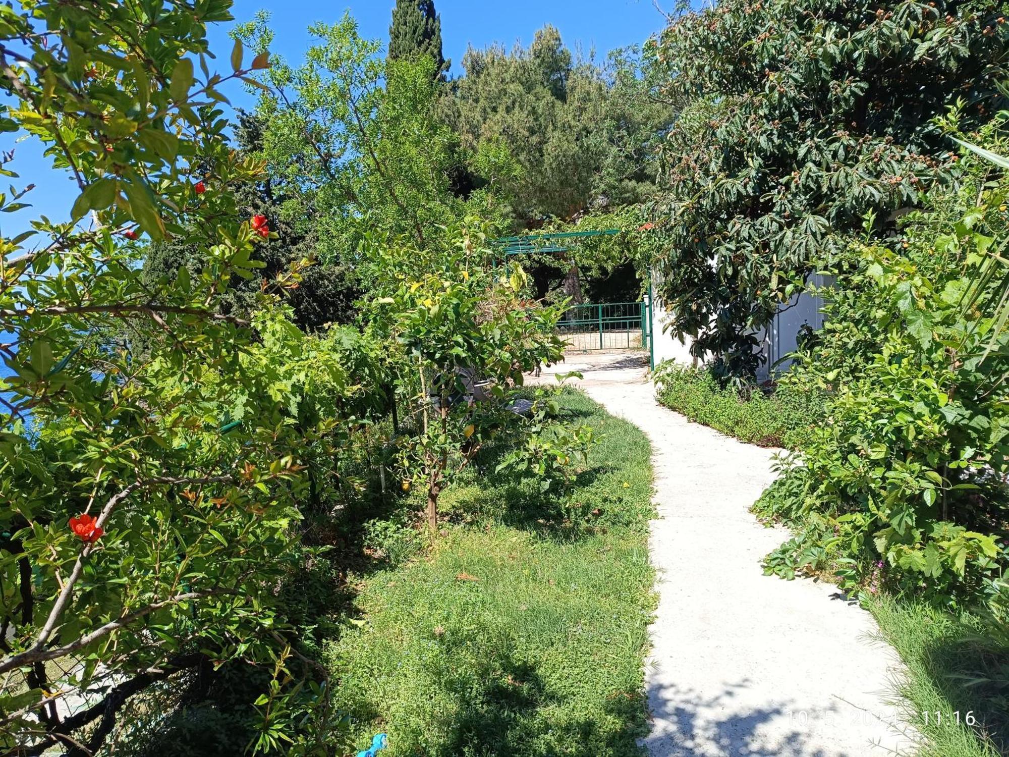 Leonica Apartment Omis Luaran gambar
