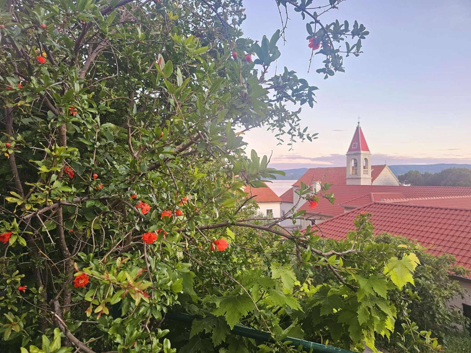 Leonica Apartment Omis Luaran gambar